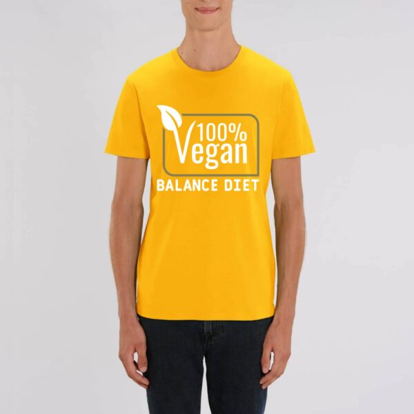 100% vegan Balance diet