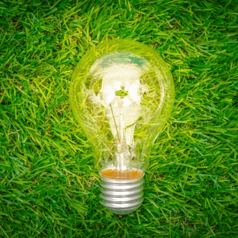 Print on demand éco-responsable