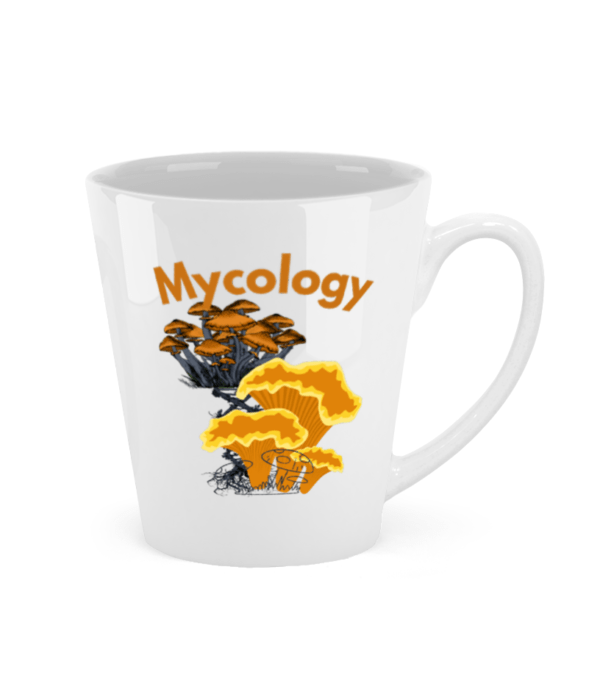 Tall  mug mycology – Image 2