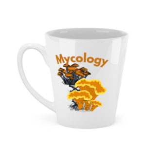Tall  mug mycology