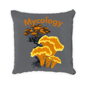Coussin "mycology"