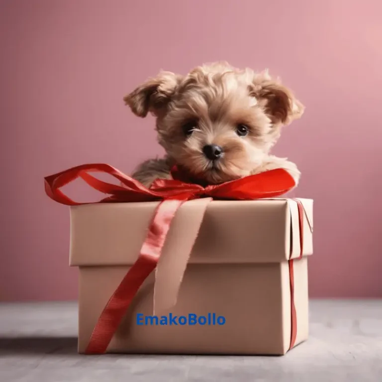 Comment choisir un cadeau pour quelqu'un : Les tendances les plus hot du moment à ne pas manquer !