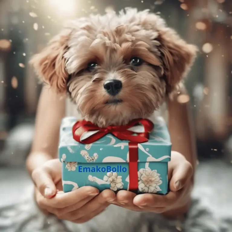 Comment faire des bons cadeaux : Originaux et uniques qui feront sensation à chaque occasion.