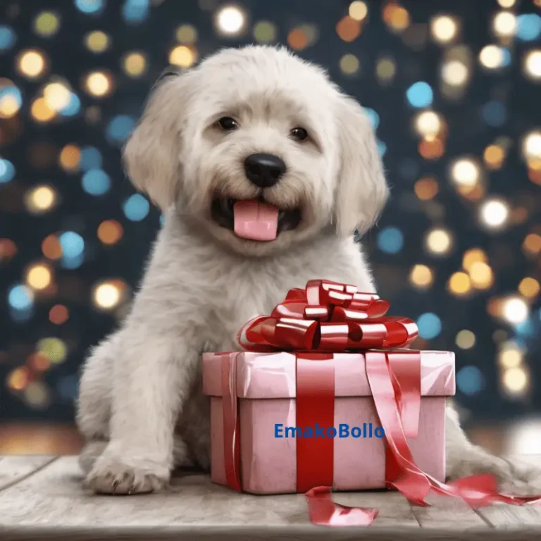 Quel cadeau offrir à quelqu'un qu'on aime : 10 idées originales et personnelles qui feront fondre leur cœur.