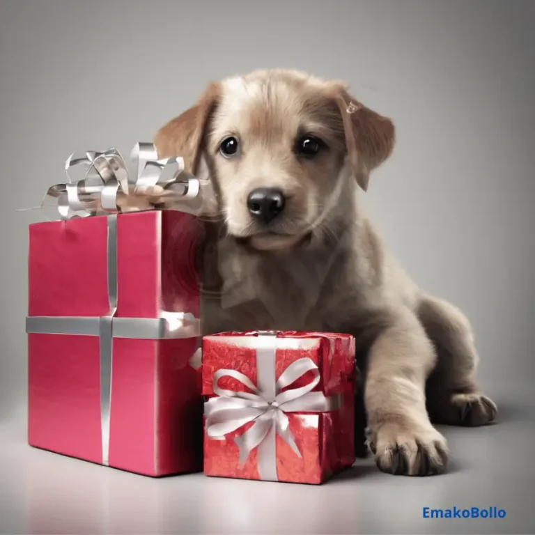 Quel cadeau offrir à quelqu'un qu'on ne connait pas ? Les 10 meilleures idées qui impressionneront même les plus difficiles !